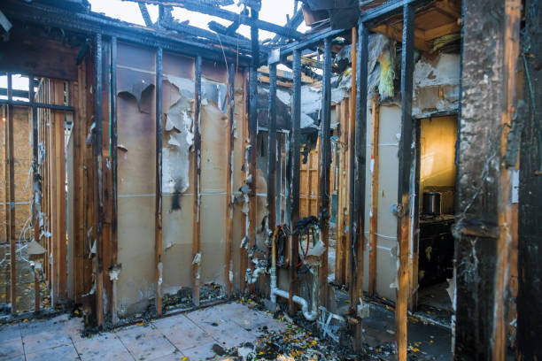 Professional Fire Board Up technician working in Brandon, FL
